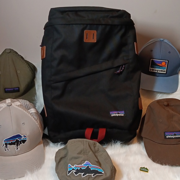 Patagonia Backpack Other - Patagonia Toromiro 22L Black Backpack